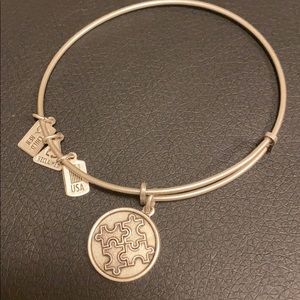 Wind and Fire autism bracelet